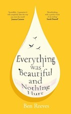 Everything Was Beautiful and Nothing Hurt by Ben Reeves Paperback Fiction Novel picture