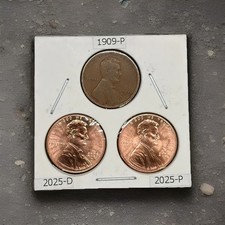2025 P&D with 1909 Penny lot picture