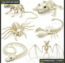 6PCS Halloween Animals Skeleton with Bendable Tails and Movable Jaws picture