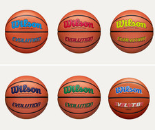 BEST PRICE WILSON Evolution Game Basketball - Select Size and Color - FREESHIPP picture
