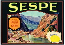 ORIGINAL LEMON CRATE LABEL SESPE CREEK FILLMORE VENTURA COUNTY 1940S VINTAGE  picture