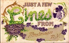 Embossed Antique Postcard A Few Lines From Amsterdam  NY  1909 picture