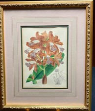 John Nugent Fitch Cattleya Guttata Leopoldii Orchid Lithograph Gold Framed Print picture
