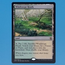 Magic: The Gathering - Windswept Heath, Normal, (KTK) #248/269, 2014, EN, NM picture
