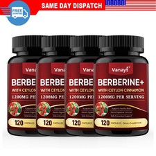 Berberine HCL Premium Extract Ceylon Cinnamon Antioxidant 1200mg 120 Capsules picture