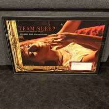 Team Sleep (Deftones) 2005 Self Titles Promo Poster 11 X 17” picture