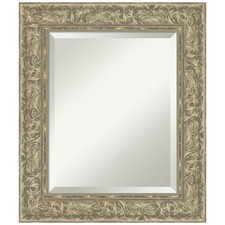 Amanti Art Silver Wall Mirror 27x23 Luxe Antique Silver Rectangle Bathroom Mi... picture
