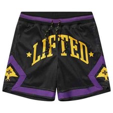 Lifted Research Group Mens LRG Resolutionary Lifted Mesh Shorts NWT Small picture