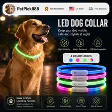 RECHARGEABLE LED Light-up Flash GLOW COLLAR Dog Pet Safety MICRO USB adjustable picture