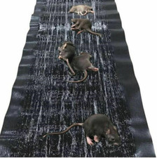 20pcs Large Mice Mouse Glue Traps Rodent Catcher Rat Board Indoor Super Sticky picture