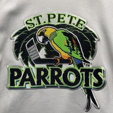 St Pete Parrots Winston Salem ACHL Minor League Hockey Jersey OT Sports Large picture