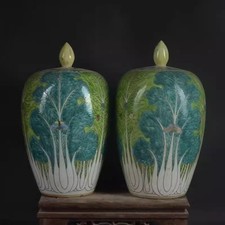 A pair Chinese Qing Kangxi Famille Rose Porcelain Cabbage Pattern Pot 7.9