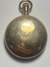 Antique 1893 Elgin 16s Pocket Watch with Rare Fancy Bird Dial picture
