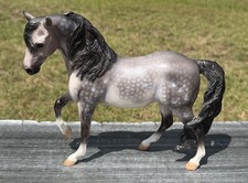 Breyer 2011 Connoisseur Series Nympheas Special Run Marabella Mold 350 Made picture