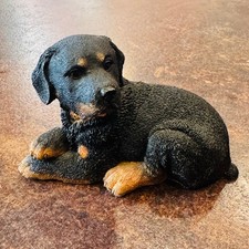 Country Artists Rottweiler Puppy Figurine 01898 Black & Tan Resin Dog Ornament picture