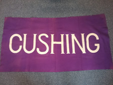HUGE Antique Cushing Academy Wool Felt Stitched Banner VGC 32 x 64 HTF RARE picture