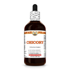 Chicory (Cichorium Intybus) Dried Root Liquid Herbal Extract picture