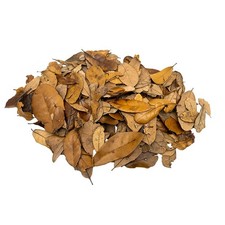 XYZReptiles Premium Live Oak Leaf Litter Isopod Substrate Terrarium 1 Gallon picture