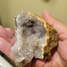 Rare Walker Valley Amethyst Geode Specimen - Skagit Co. Washington Druzy quartz picture