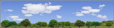 TRACKSIDE BACKDROP #470 Trees and sky HO Scale picture