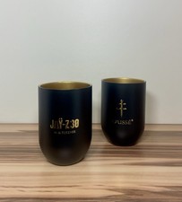 Official Jay-Z 730 x D’USSÉ “’96 & Forever” Insulated Tumbler Concert Exclusive picture