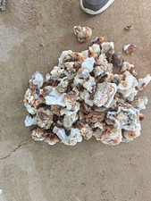 Fire Agate Rough, Deer Creek (Arizona) picture