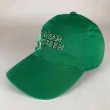 North Texas Mean Green NCAA Legacy Relaxed Fit Strapback Adjustable Hat picture