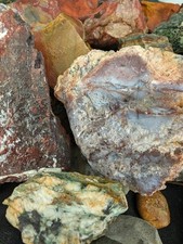 10 lb Nevada Tumbling Rough Wind Mountain Dead Camel Petrified Wood Agate Jasper picture