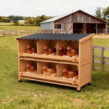 All-Weather 6 Hen Chicken Nesting Box Entry Perch and Privacy Panel picture