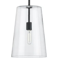 Progress Lighting P500242-031 - Pendants Indoor Lighting picture