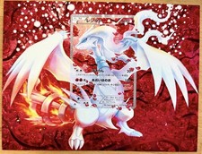 Reshiram RC22/RC25 extended art frame Card not Included picture