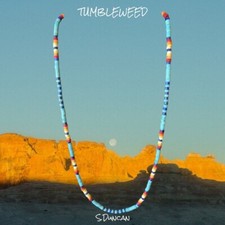 Native American Turquoise Heishi Necklace picture