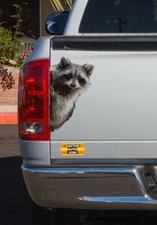 Peeking Raccoon Car Truck Vehicle Vinyl Decal Sticker - Indoor/Outdoor picture