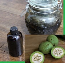 Black Walnut Extract 4 oz Organic Juglans nigra Ripe Green Hulls Tincture picture