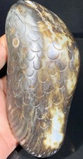 Large Impressive Chinese Hetian Jade - Fish Carving picture