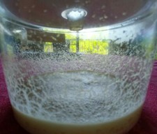 1 oz. microworms starter picture
