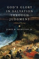 God's Glory in Salvation through Judgment: A Biblical Theology by James M. Hami picture