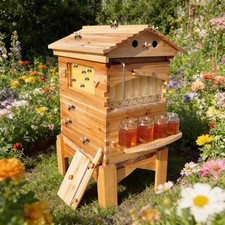Wooden Automatic Beehive Kit with 7pcs Auto Beekeeping Frames + Hive Stand picture