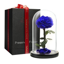 LOVAPPY Preserved Rose - Glass Dome - Beauty The Beast (Blue, 9 Inch) picture