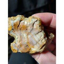 Carnelian Agate w/ Opalized Banding Specimen Natural Form (2.8in) picture