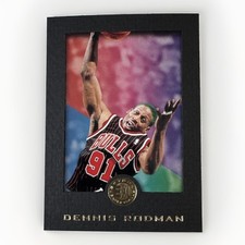 1995-96 Skybox E-XL - Dennis Rodman #13 picture