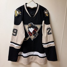 Scranton Wilkes Barre Penguins Marc-Andre Fleury #29 Jersey Stitched AHL Size XL picture