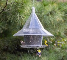 Sky Cafe Squirrel Proof Bird Feeder  - Large 17 in - & FREE MUG picture