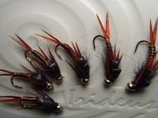 Irideus Copper Penn Leggy Hellgrammite Nymph Flies Fly Fishing Flies Trout Flies picture
