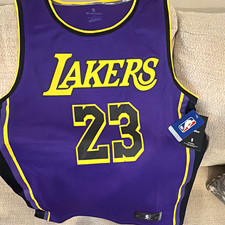 Fanatics Los Angeles Lakers LeBron James #23 NBA Jersey Purple Size M picture