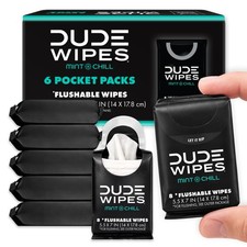 DUDE Wipes Mint Chill Pocket Packs, Adult Flushable Travel Wipes, 48 Count picture