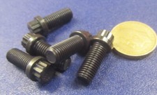 12 Point Flanged, Ferry Bolt, Steel, FT, 5/16