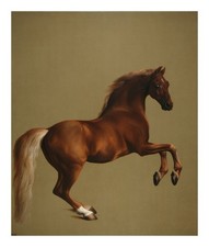 George Stubbs Whistlejacket : Archival Quality Giclée Art Print 1762 picture