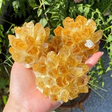 1pc Rare Citrine Quartz Cluster Healing Health Wealth Crystal Specimen Ornament picture