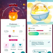 Pokémon Shiny Cinderace Gigantamax | Several Options  | Tr-de Go✨ picture